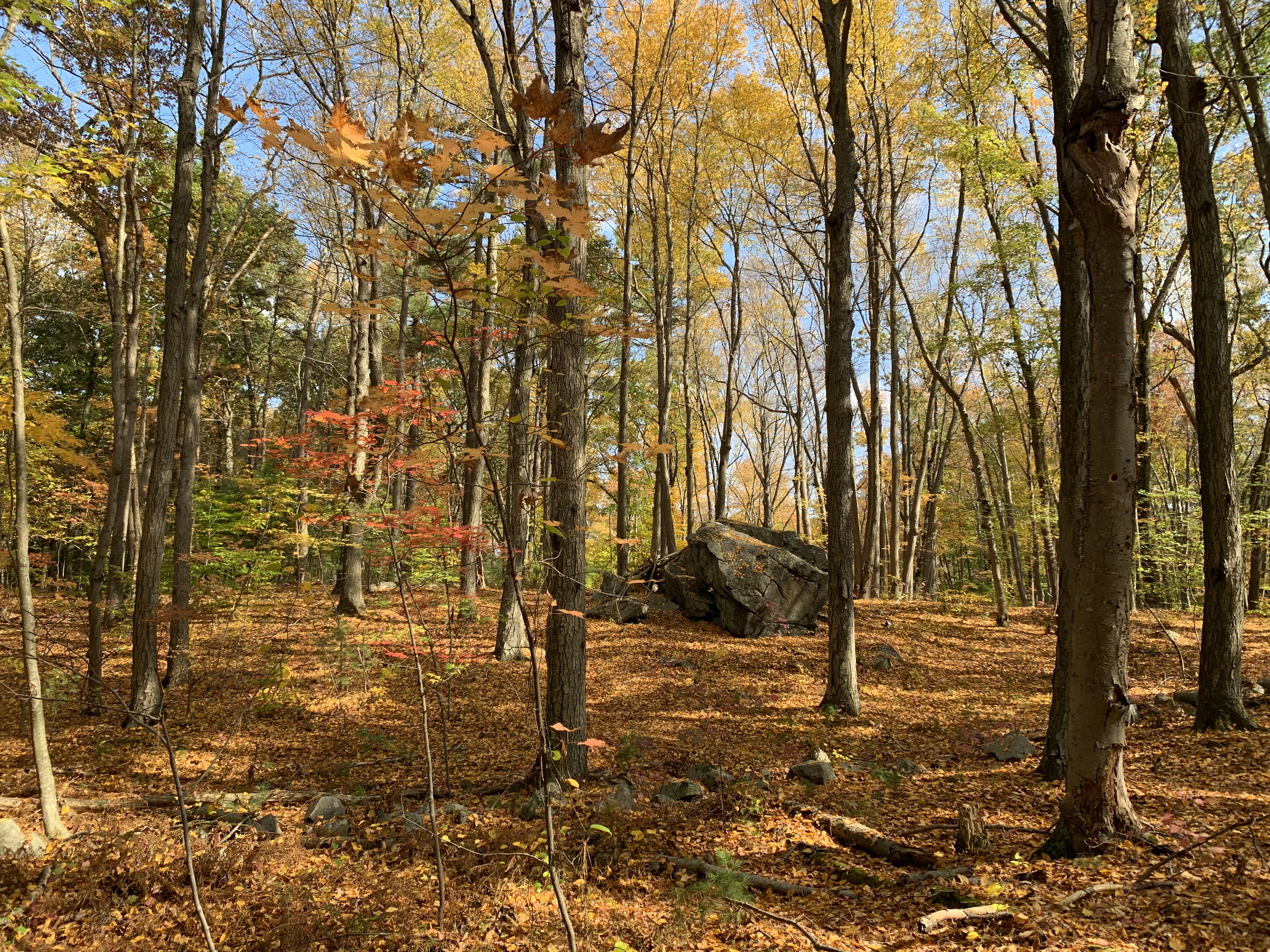 Zachary Gresser MT-BC, LMHC